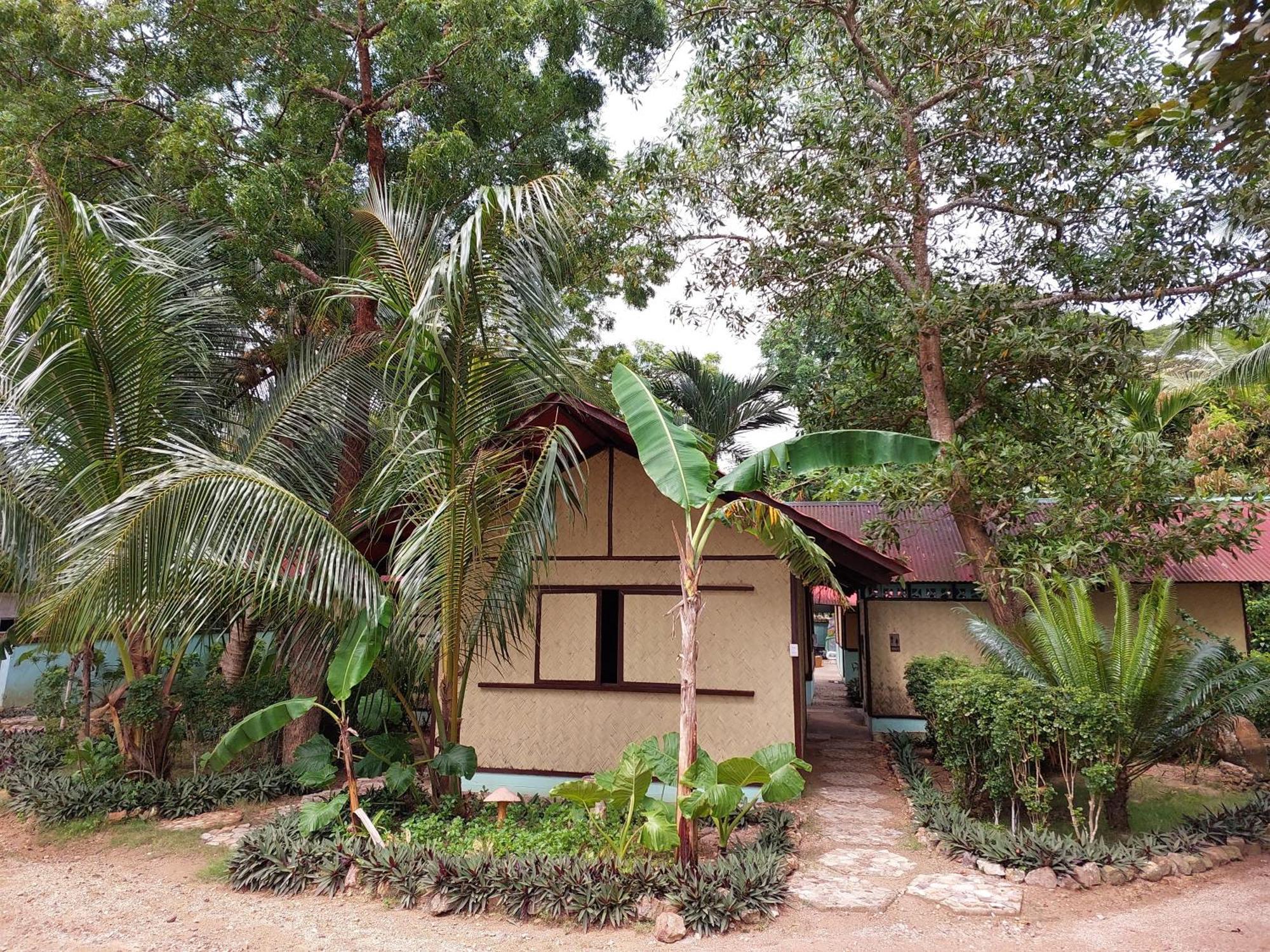 Concepcion Divers Lodge Busuanga Exterior foto